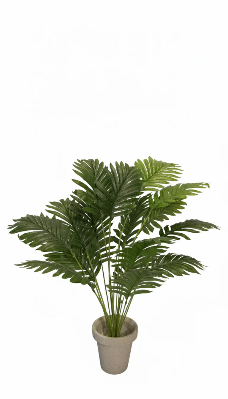 All Plants Style